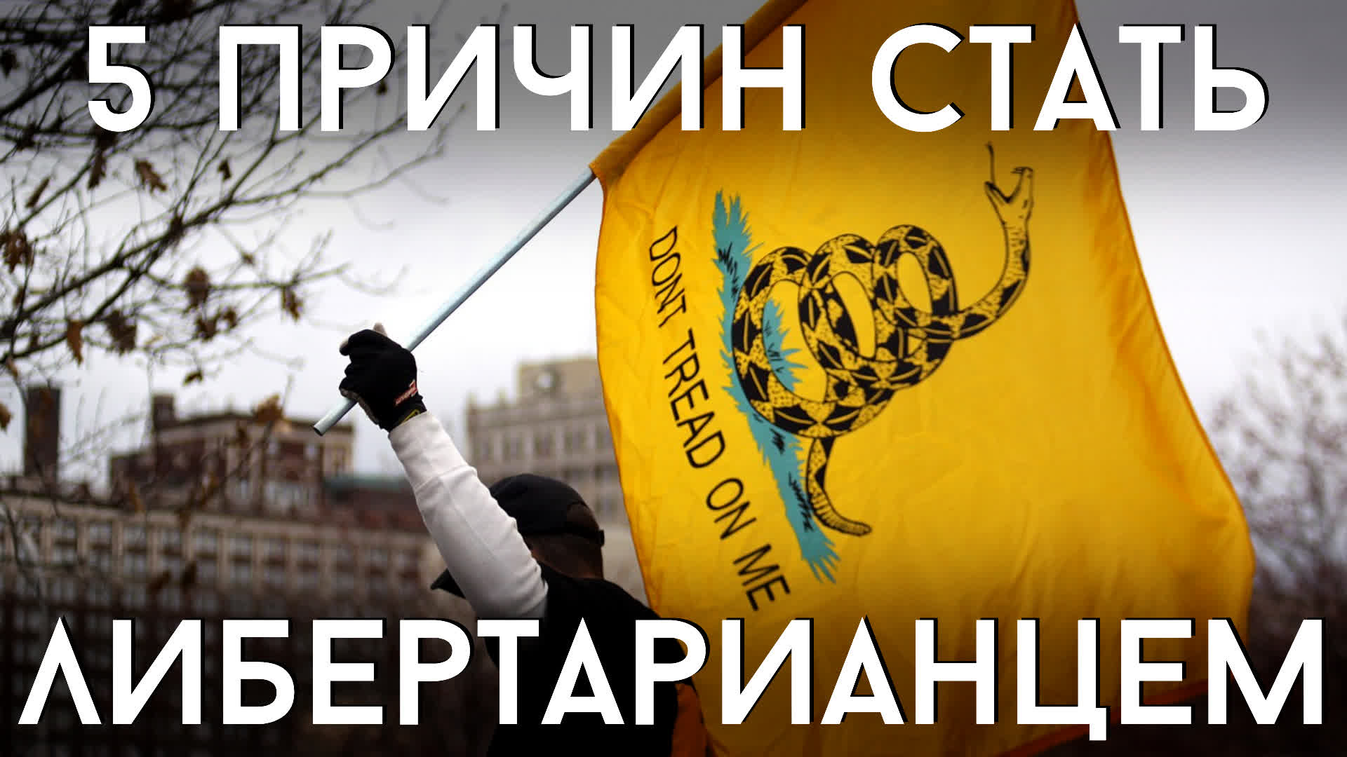 Описание изображения