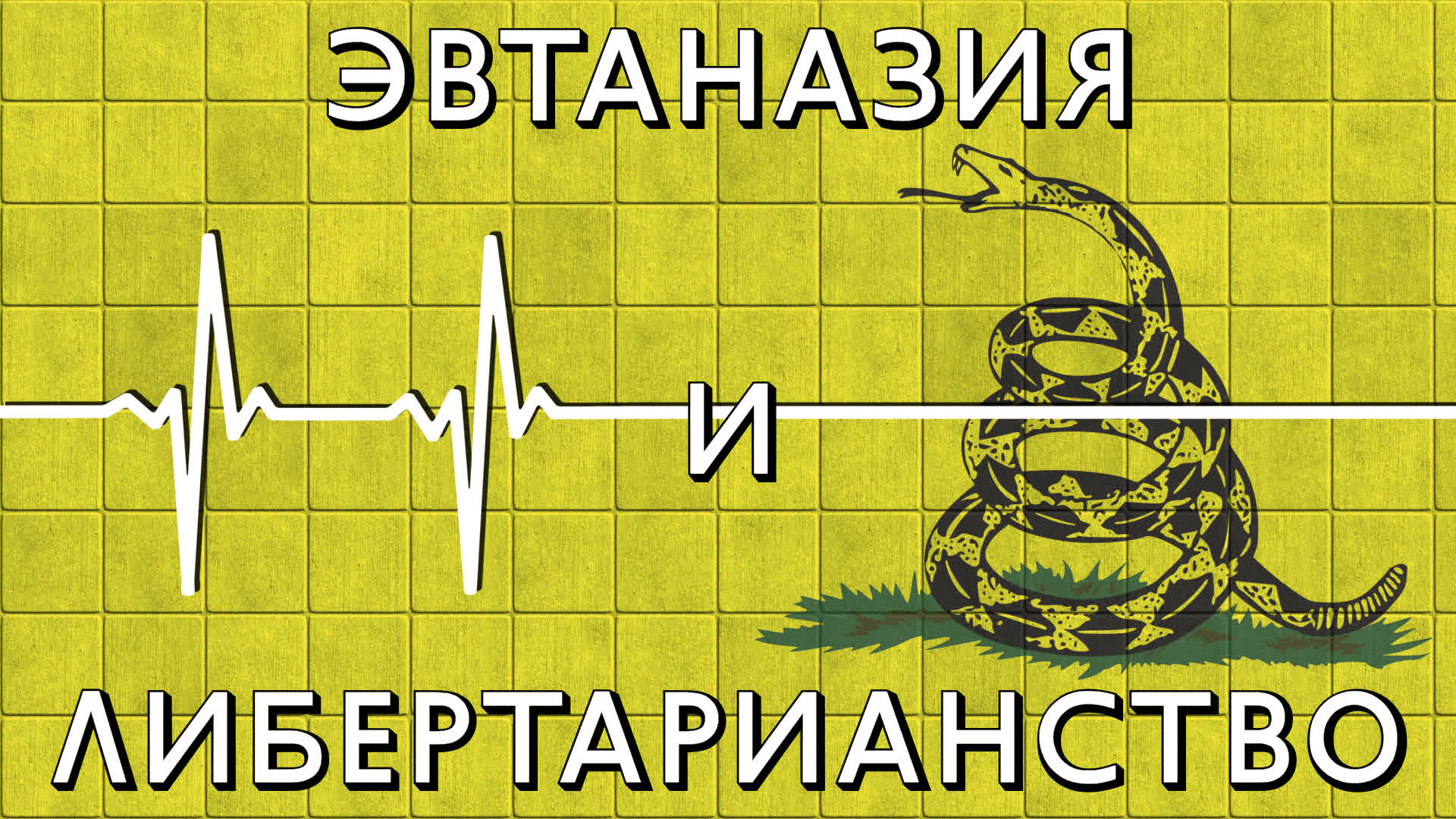 Описание изображения
